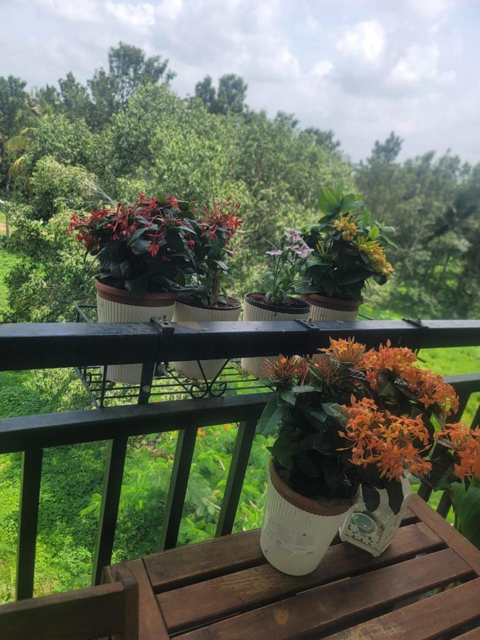 Serene Home Stay Бангалор Екстериор снимка