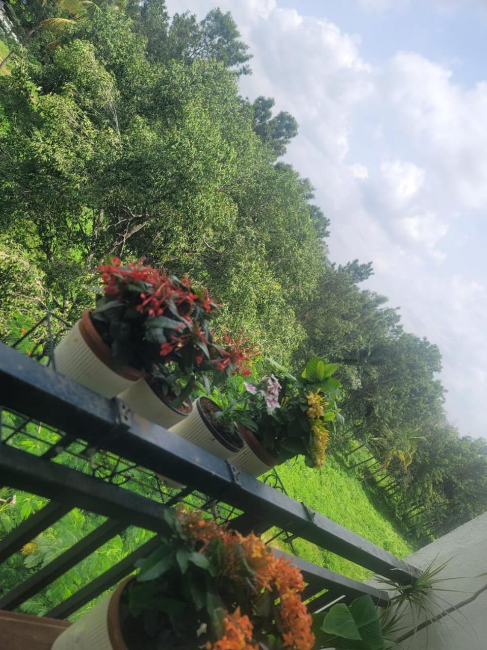 Serene Home Stay Бангалор Екстериор снимка